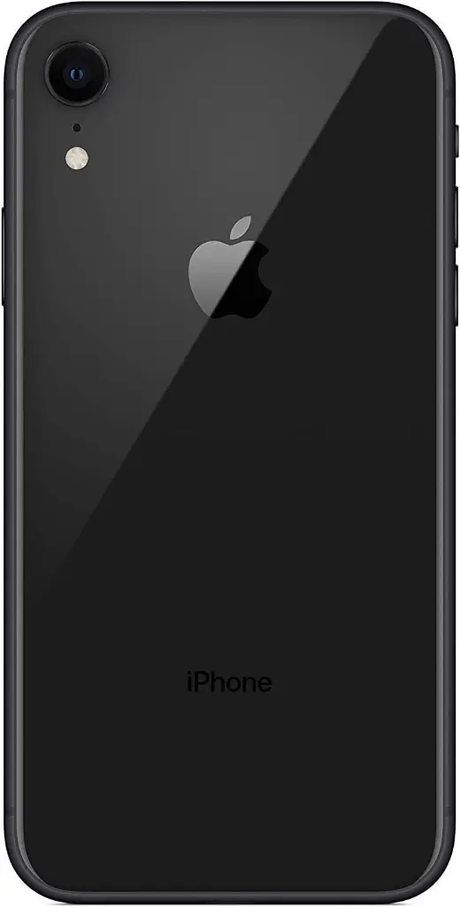 XRNOIR 2.webp